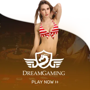 dream gaming-1xbet